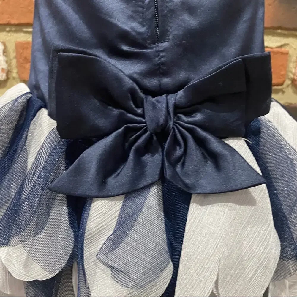 Toddler Girl Biscotti Dress Sz 2T Navy Blue Silver Special Occasion Fancy Dress